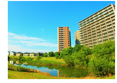 流山市南部