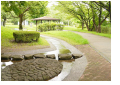 八潮市北部