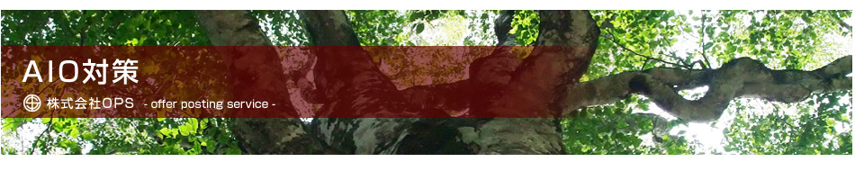AIO対策
