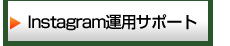 インスタグラム